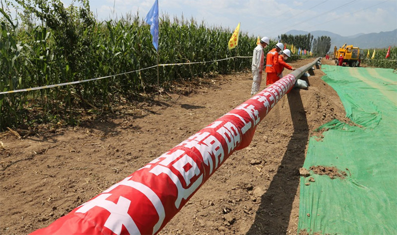 �ڲ�����Ϸ���� - ����Ϊ��,רҵ����!